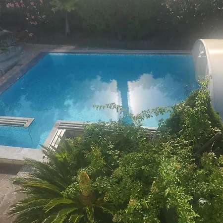 Old Road And With Pool Homestay *