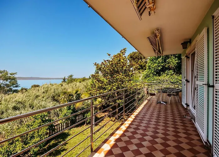 民宿 Old Road And With Pool 波尔托罗