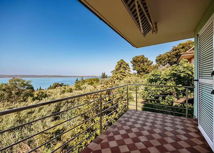 Old Road And With Pool