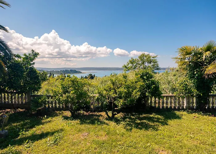 Old Road And With Pool * 波尔托罗